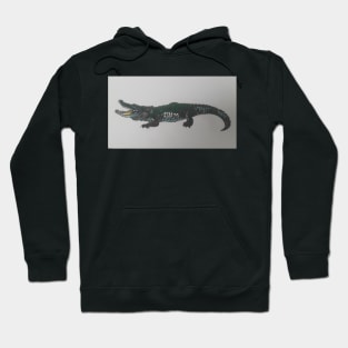 Never smile Hoodie